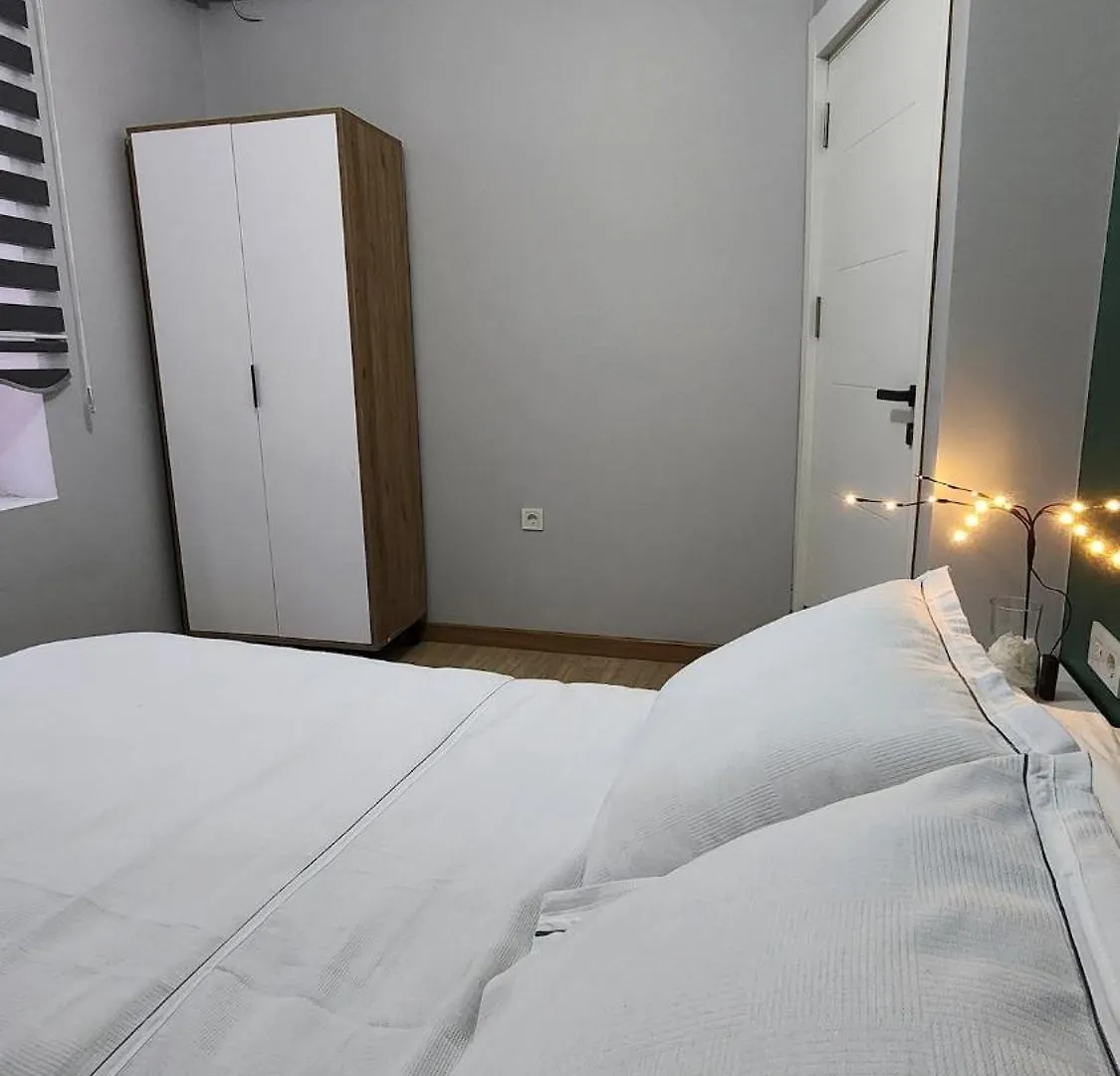 Home In Taksim Region Istanbul Tyrkiet